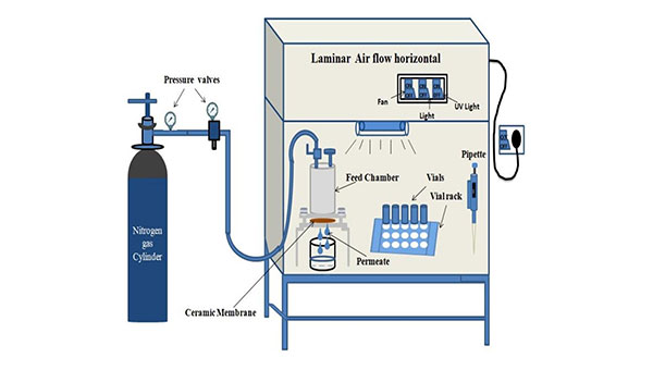 Bio-Separations